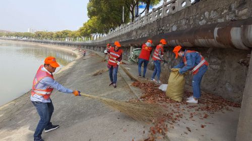 清理河道上树叶(图1)