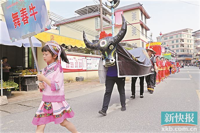 清远市连山壮族瑶族自治县上帅镇：相约“牛王诞” 推动农文旅体康融合发展(图2)