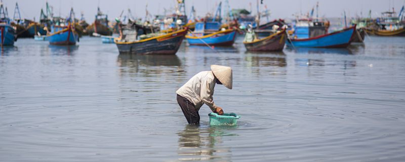 MG娱乐电子游戏网站海洋牧场是什么 海洋牧场的好处是什么